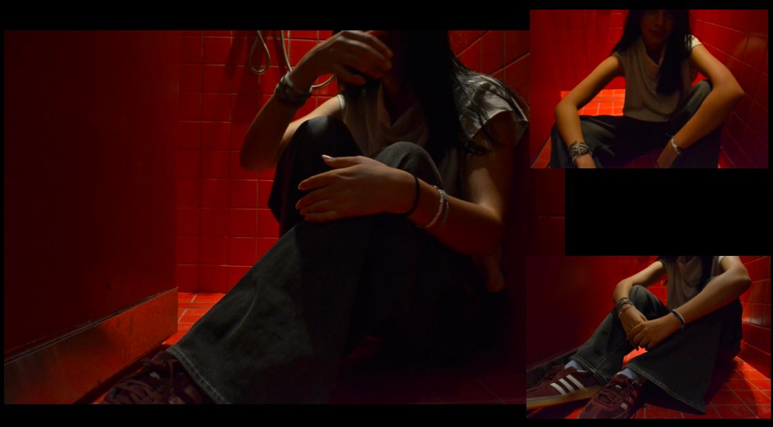 PORTRAIT — the red room