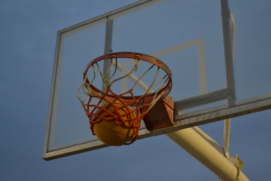 NARRATIVE — through the net