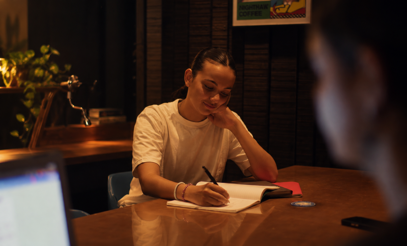 The Stain Theory — writing in a notebook at night
