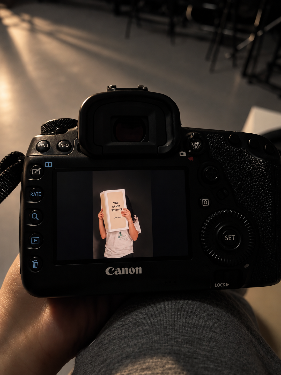 Camera preview — The Stain Theory photograph on Canon screen